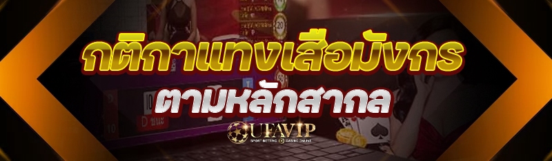 กติกาแทงเสือมังกร ตามหลักสากล