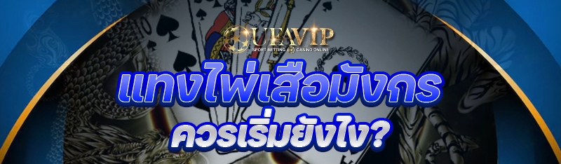 แทงไพ่เสือมังกร ควรเริ่มยังไง?