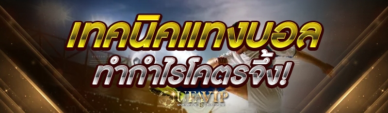เทคนิคแทงบอล ทำกำไรโคตรจึ้ง!